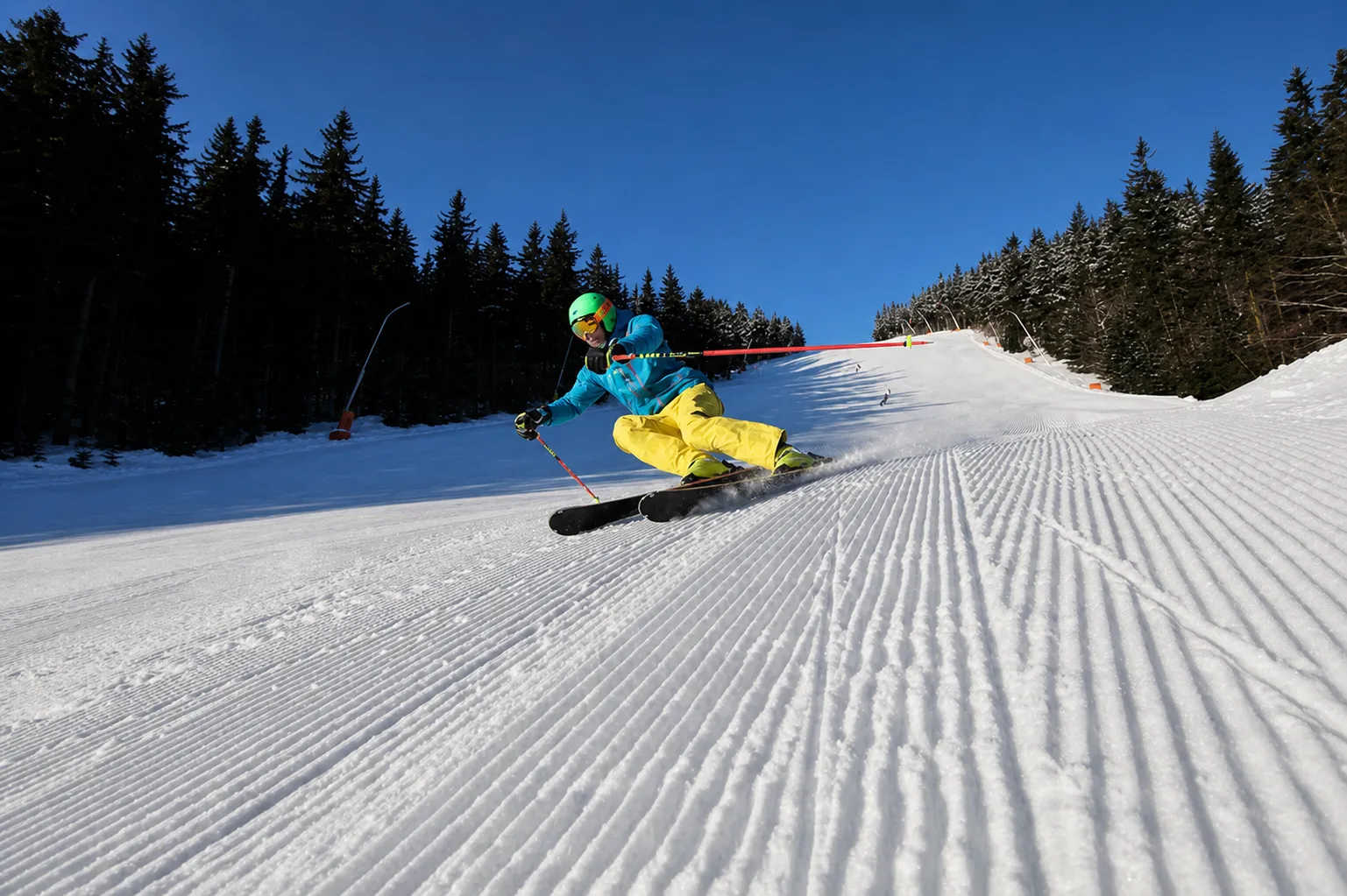 Sjezdovky a skokanské můstky v lyžařském areálu Harrachov